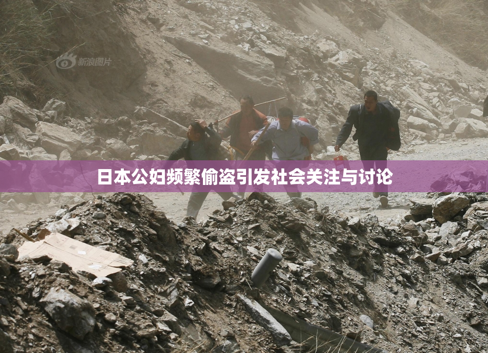 日本公妇频繁偷盗引发社会关注与讨论