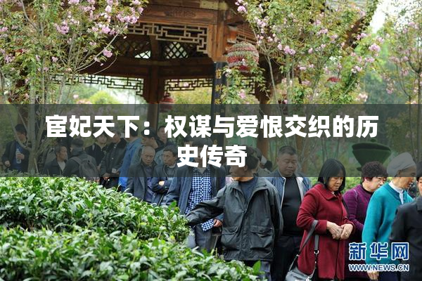 宦妃天下：权谋与爱恨交织的历史传奇
