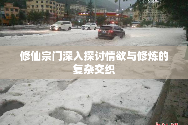 修仙宗门深入探讨情欲与修炼的复杂交织