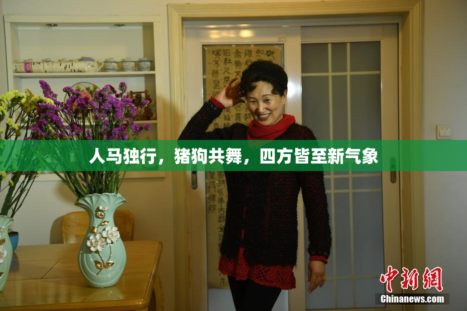 人马独行，猪狗共舞，四方皆至新气象