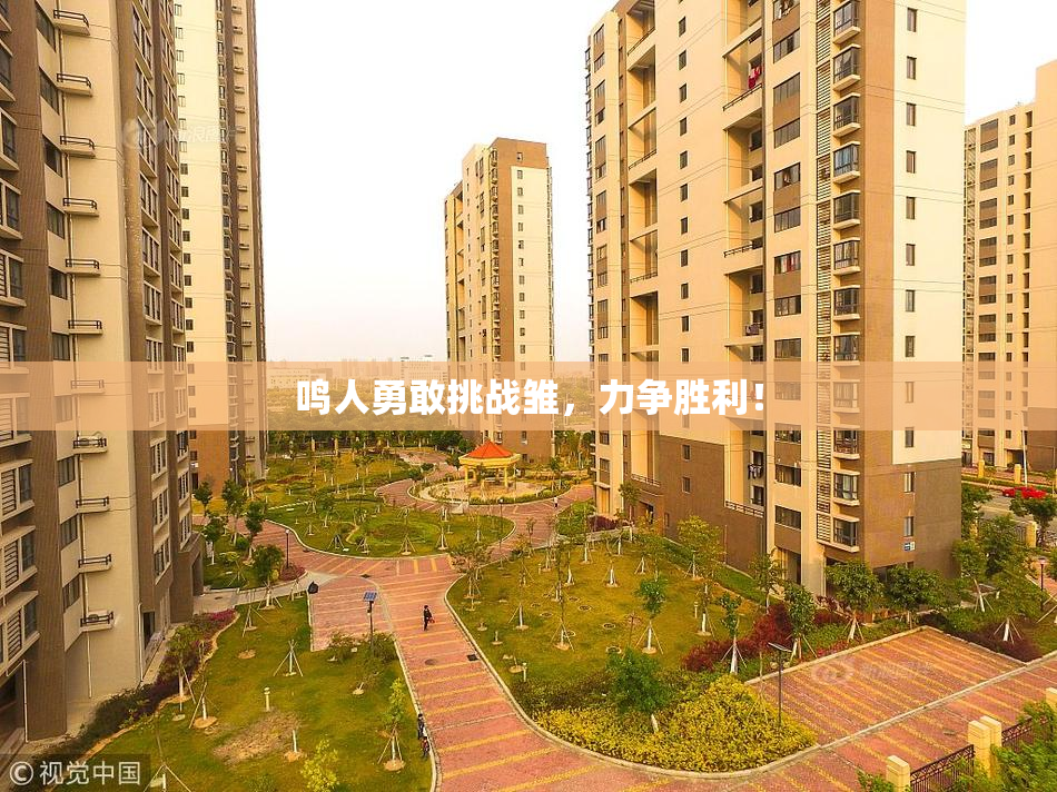 鸣人勇敢挑战雏，力争胜利！