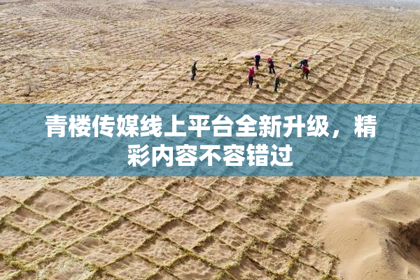 青楼传媒线上平台全新升级，精彩内容不容错过
