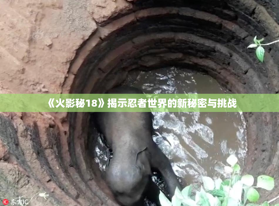 《火影秘18》揭示忍者世界的新秘密与挑战