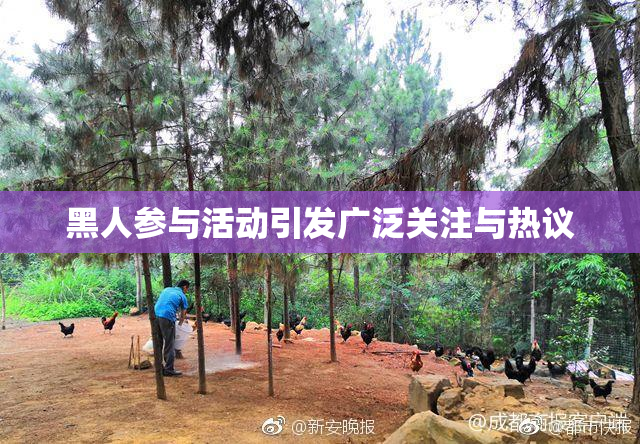 黑人参与活动引发广泛关注与热议