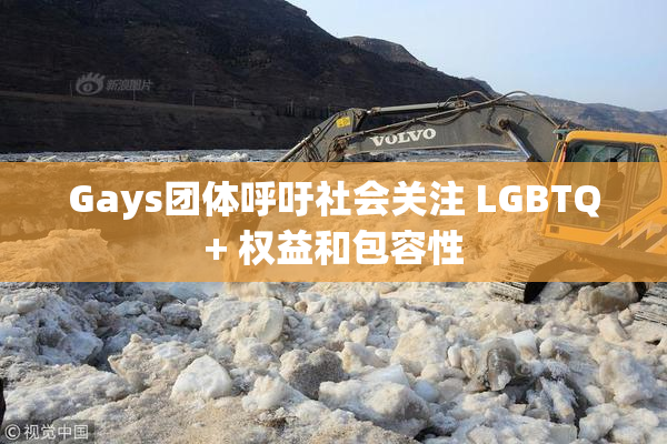 Gays团体呼吁社会关注 LGBTQ+ 权益和包容性