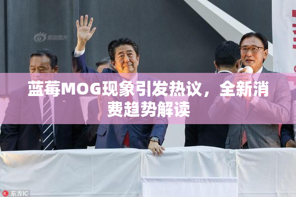 蓝莓MOG现象引发热议，全新消费趋势解读