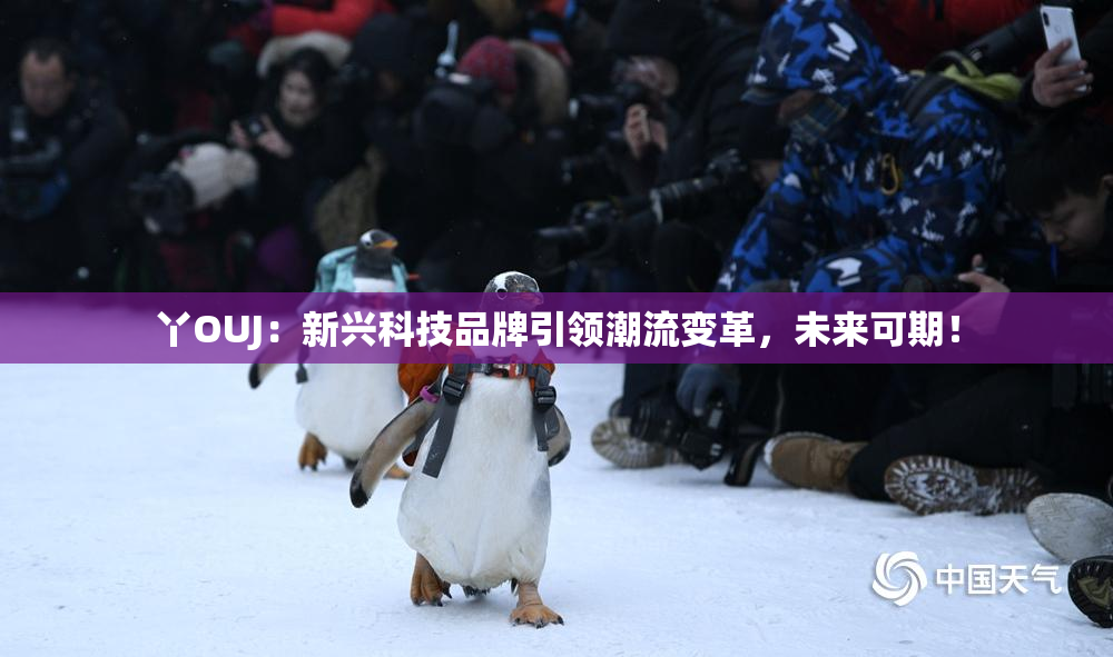 丫OUJ：新兴科技品牌引领潮流变革，未来可期！