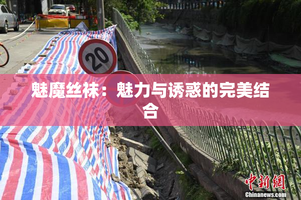 魅魔丝袜：魅力与诱惑的完美结合