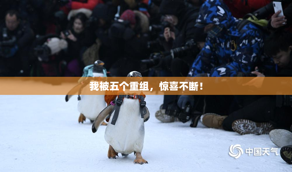 我被五个重组，惊喜不断！
