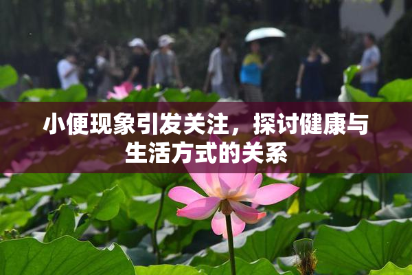 小便现象引发关注，探讨健康与生活方式的关系