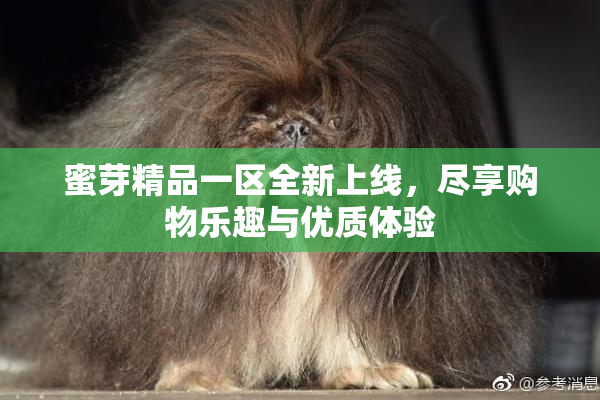 蜜芽精品一区全新上线，尽享购物乐趣与优质体验