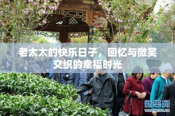 老太太的快乐日子，回忆与微笑交织的幸福时光