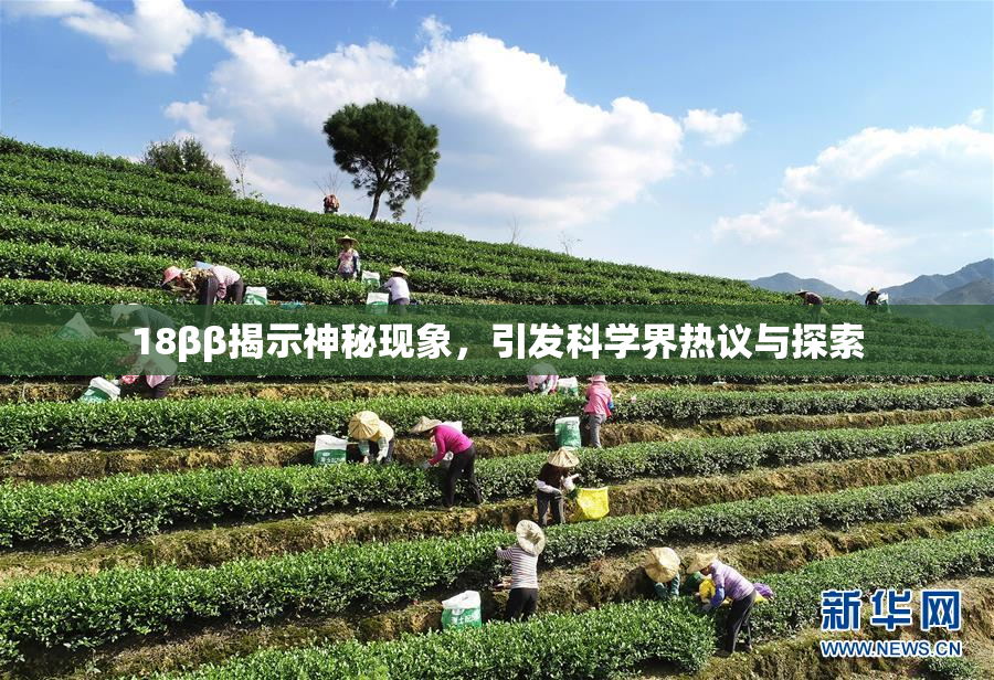 18ββ揭示神秘现象，引发科学界热议与探索