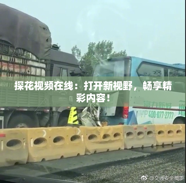 探花视频在线：打开新视野，畅享精彩内容！