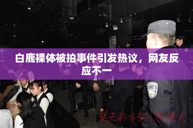 白鹿裸体被拍事件引发热议，网友反应不一