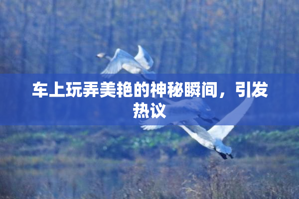 车上玩弄美艳的神秘瞬间，引发热议