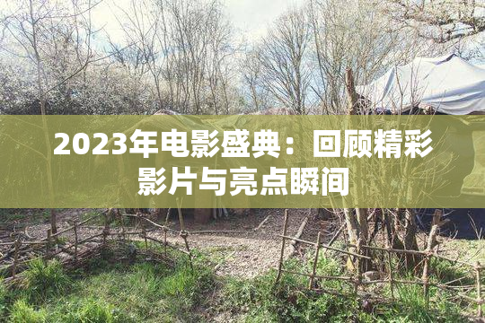 2023年电影盛典：回顾精彩影片与亮点瞬间