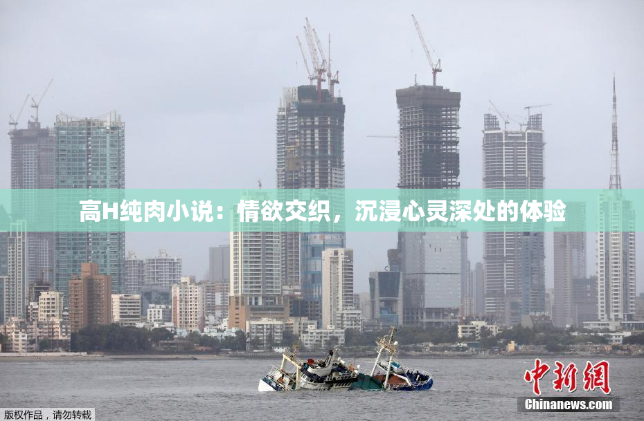 高H纯肉小说：情欲交织，沉浸心灵深处的体验
