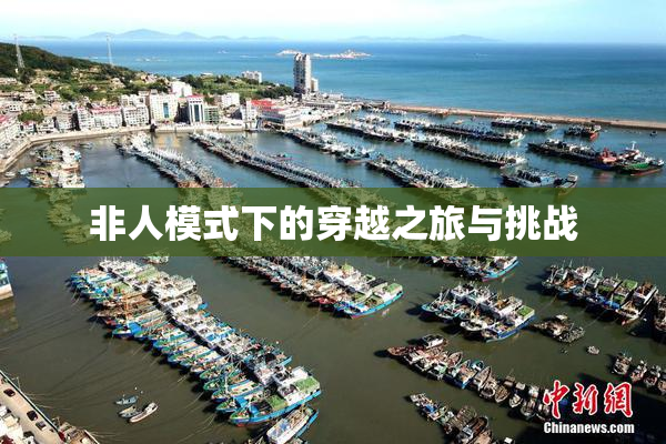 非人模式下的穿越之旅与挑战