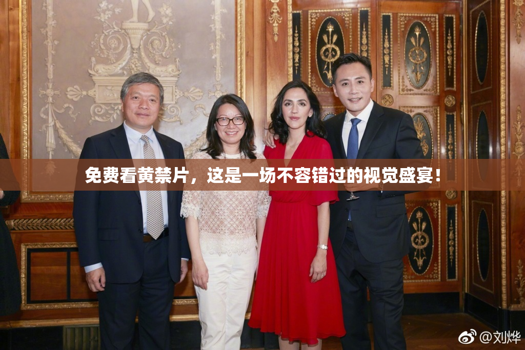 免费看黄禁片，这是一场不容错过的视觉盛宴！