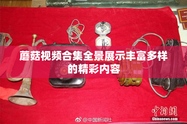 蘑菇视频合集全景展示丰富多样的精彩内容