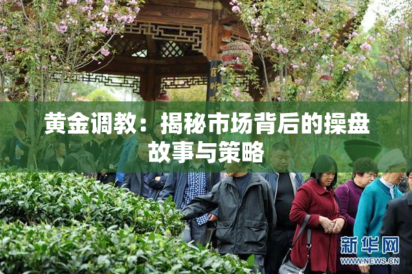 黄金调教：揭秘市场背后的操盘故事与策略