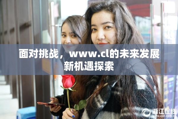 面对挑战，www.cl的未来发展新机遇探索