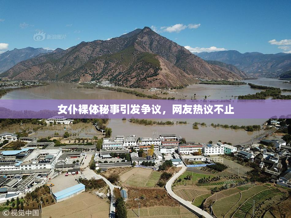 女仆裸体秘事引发争议，网友热议不止