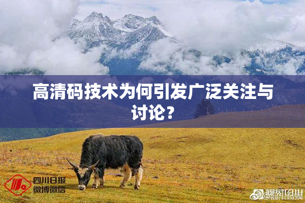 高清码技术为何引发广泛关注与讨论？