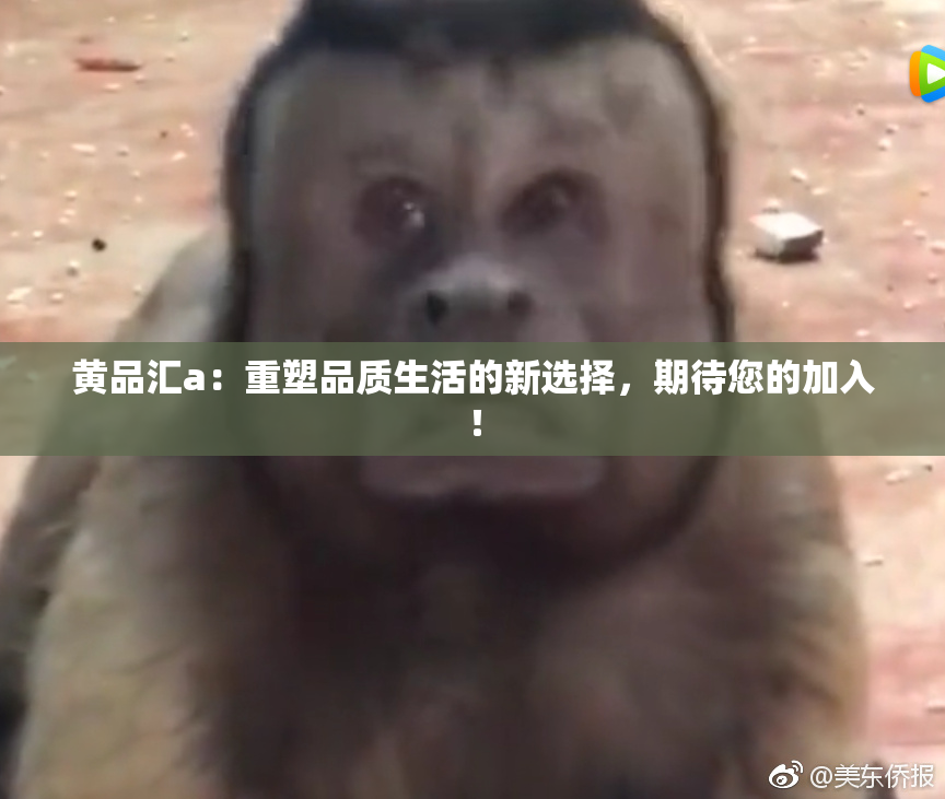 黄品汇a：重塑品质生活的新选择，期待您的加入！