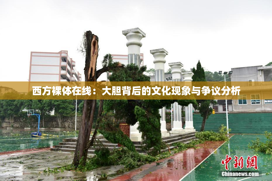 西方裸体在线：大胆背后的文化现象与争议分析