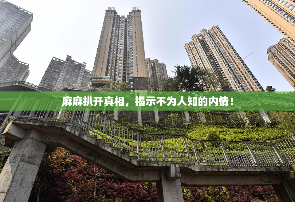 麻麻扒开真相，揭示不为人知的内情！