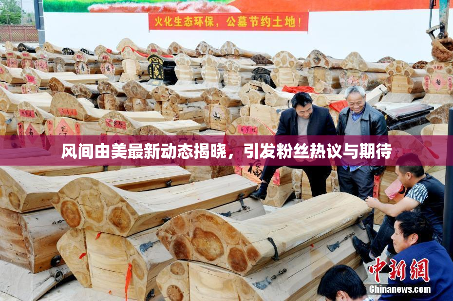 风间由美最新动态揭晓，引发粉丝热议与期待