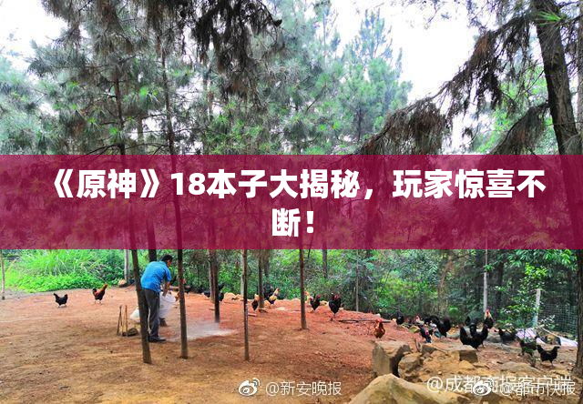 《原神》18本子大揭秘，玩家惊喜不断！