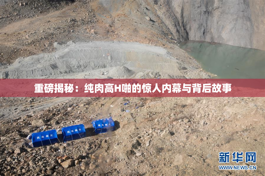 重磅揭秘：纯肉高H啪的惊人内幕与背后故事