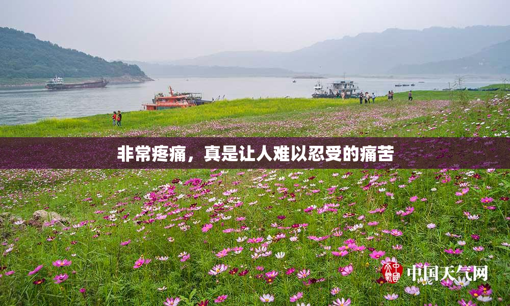 非常疼痛，真是让人难以忍受的痛苦