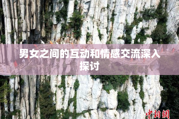 男女之间的互动和情感交流深入探讨