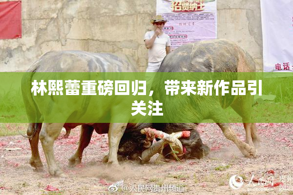 林熙蕾重磅回归，带来新作品引关注