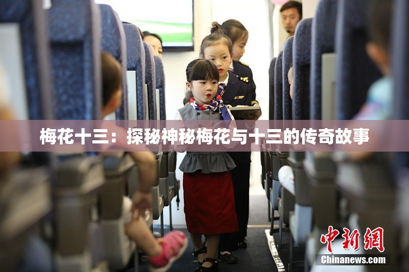 梅花十三：探秘神秘梅花与十三的传奇故事