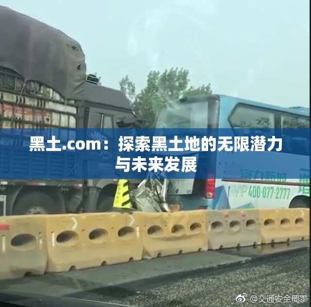 黑土.com：探索黑土地的无限潜力与未来发展