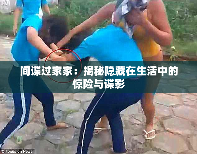 间谍过家家：揭秘隐藏在生活中的惊险与谍影