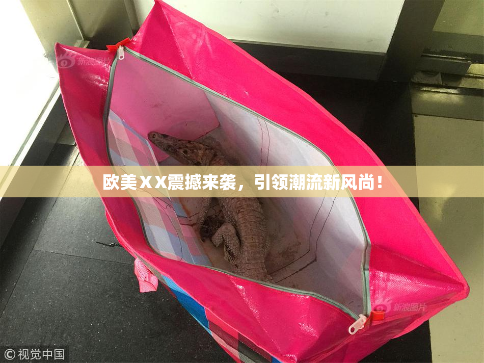 欧美ⅩX震撼来袭，引领潮流新风尚！