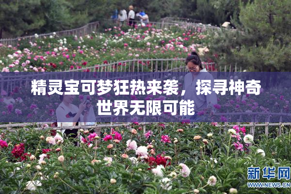 精灵宝可梦狂热来袭，探寻神奇世界无限可能