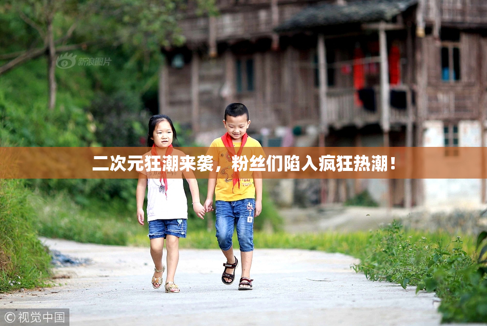 二次元狂潮来袭，粉丝们陷入疯狂热潮！