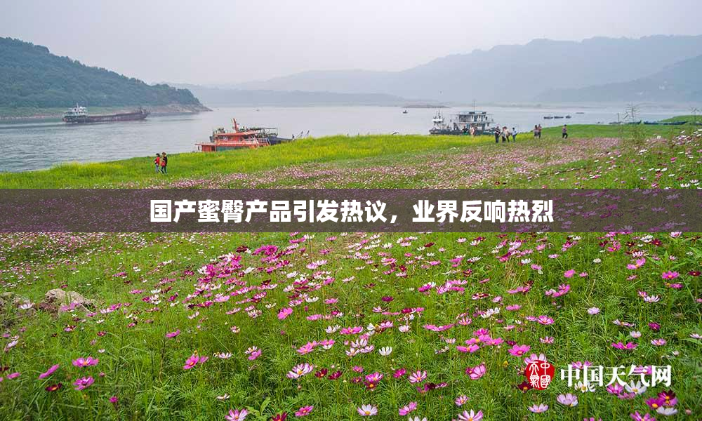 国产蜜臀产品引发热议，业界反响热烈
