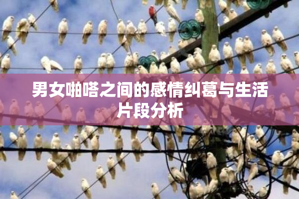 男女啪嗒之间的感情纠葛与生活片段分析