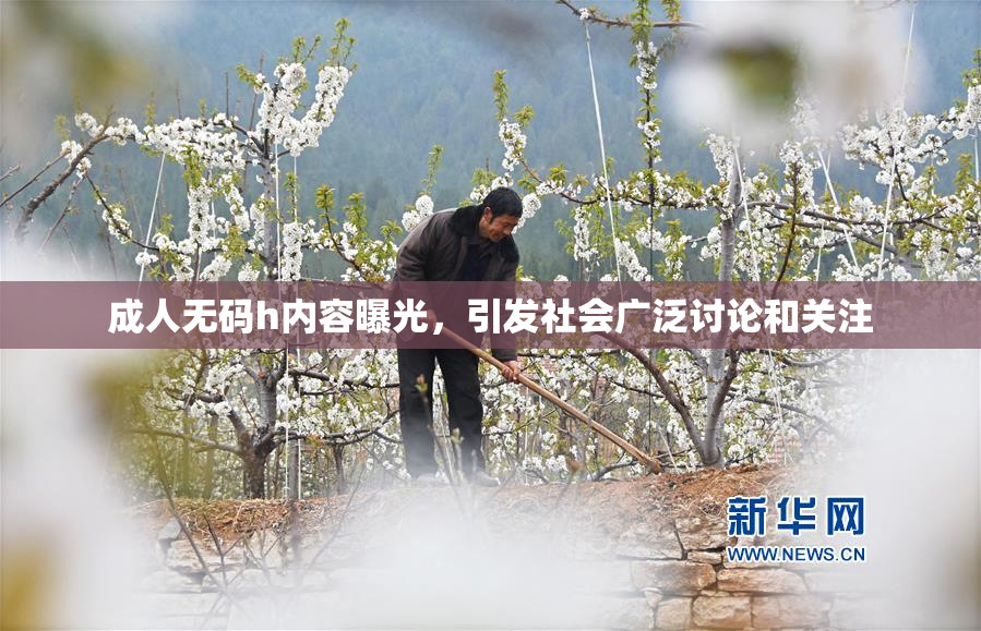 成人无码h内容曝光，引发社会广泛讨论和关注