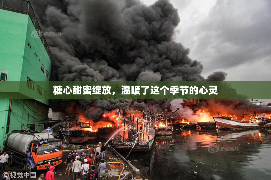 糖心甜蜜绽放，温暖了这个季节的心灵