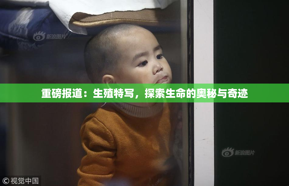 重磅报道：生殖特写，探索生命的奥秘与奇迹