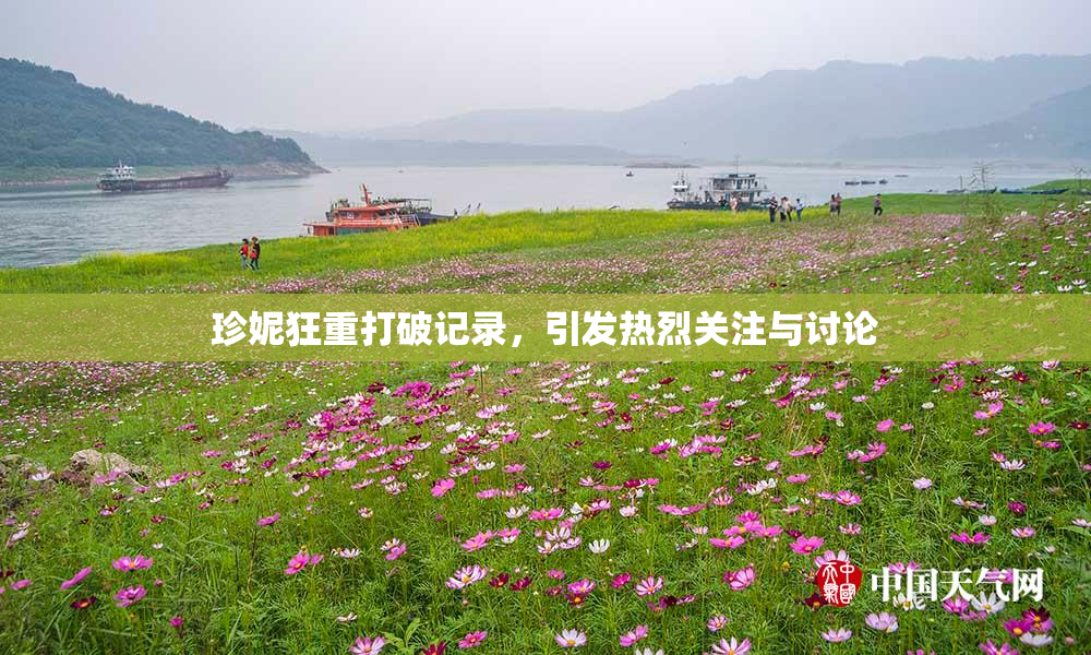 珍妮狂重打破记录，引发热烈关注与讨论